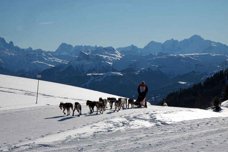 Résidence les Soldanelles Praz de Lys