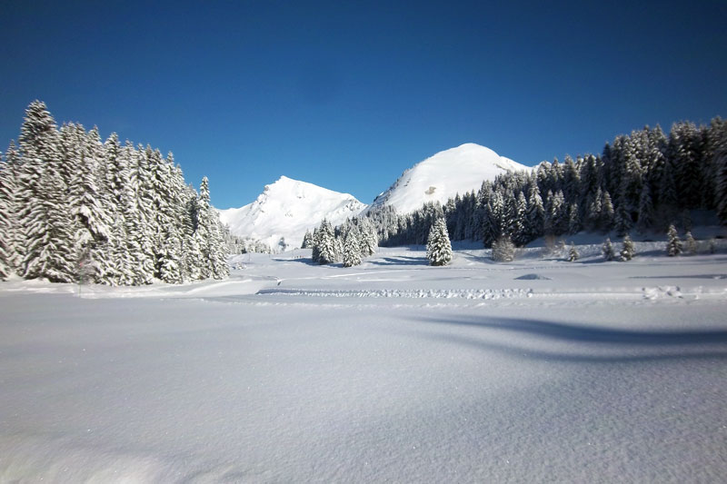 Résidence les Soldanelles Praz de Lys