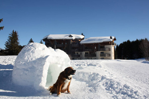 Les Soldanelles location appartements meublés Praz de Lys