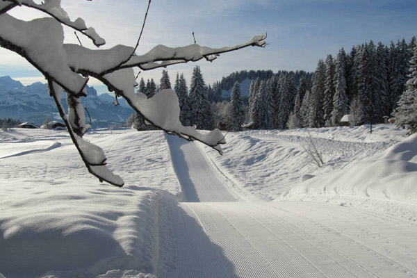 Les Soldanelles résidence de tourisme Praz de Lys