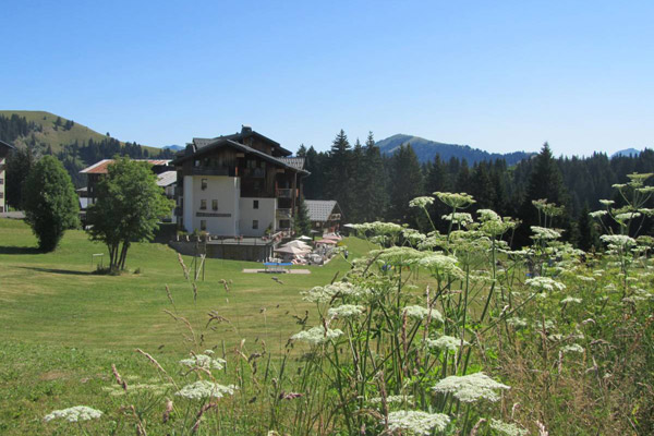 Les Soldanelles location appartements résidence de tourisme Praz de Lys