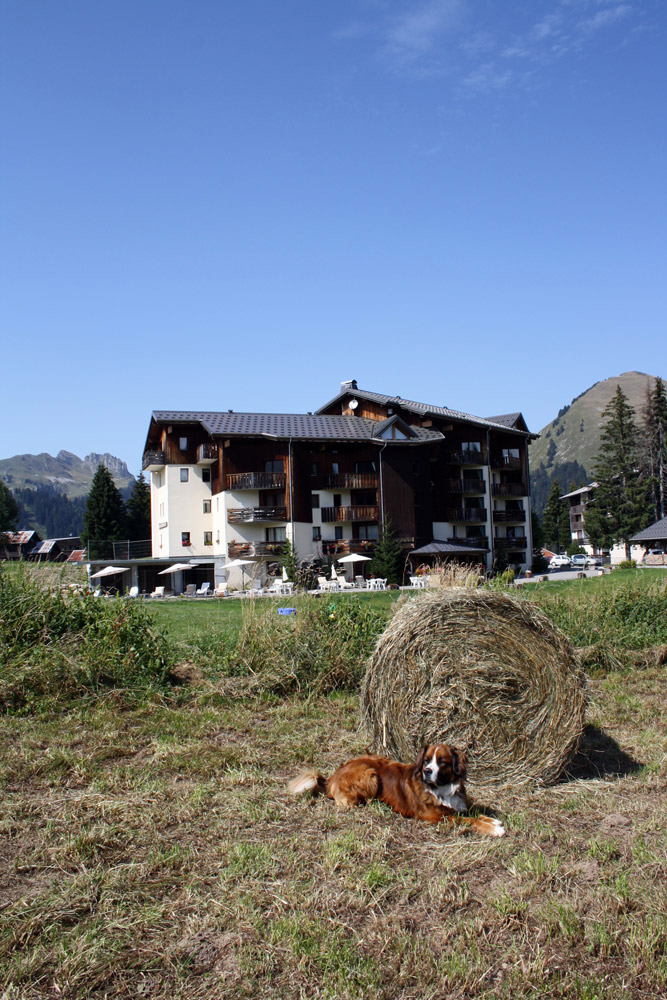 Résidence Les Soldanelles au Praz de Lys