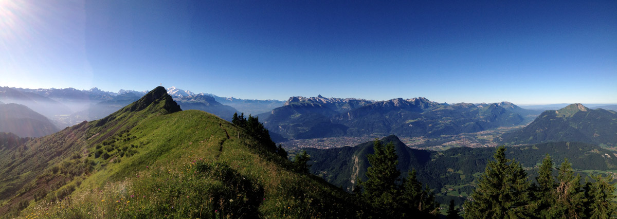 Les Soldanelles Praz de Lys Haute Savoie (74)