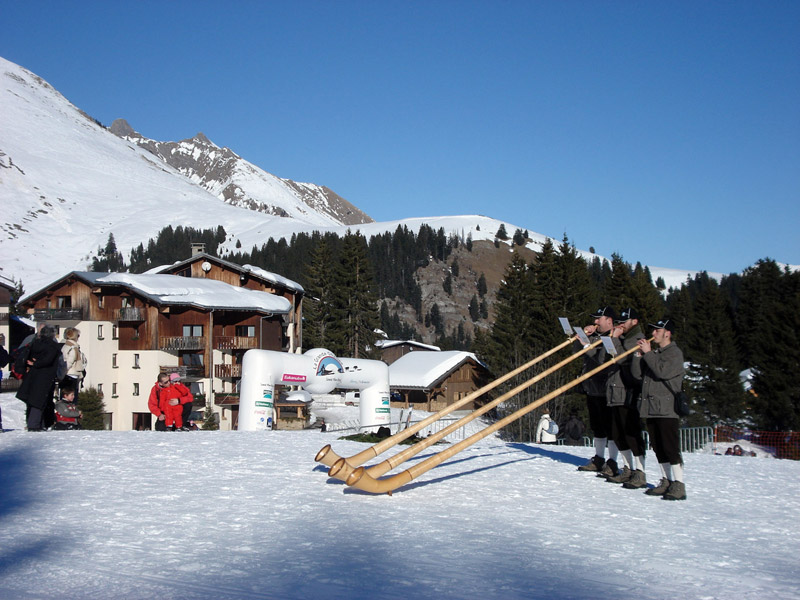 Les Soldanelles Praz de Lys Haute Savoie (74)